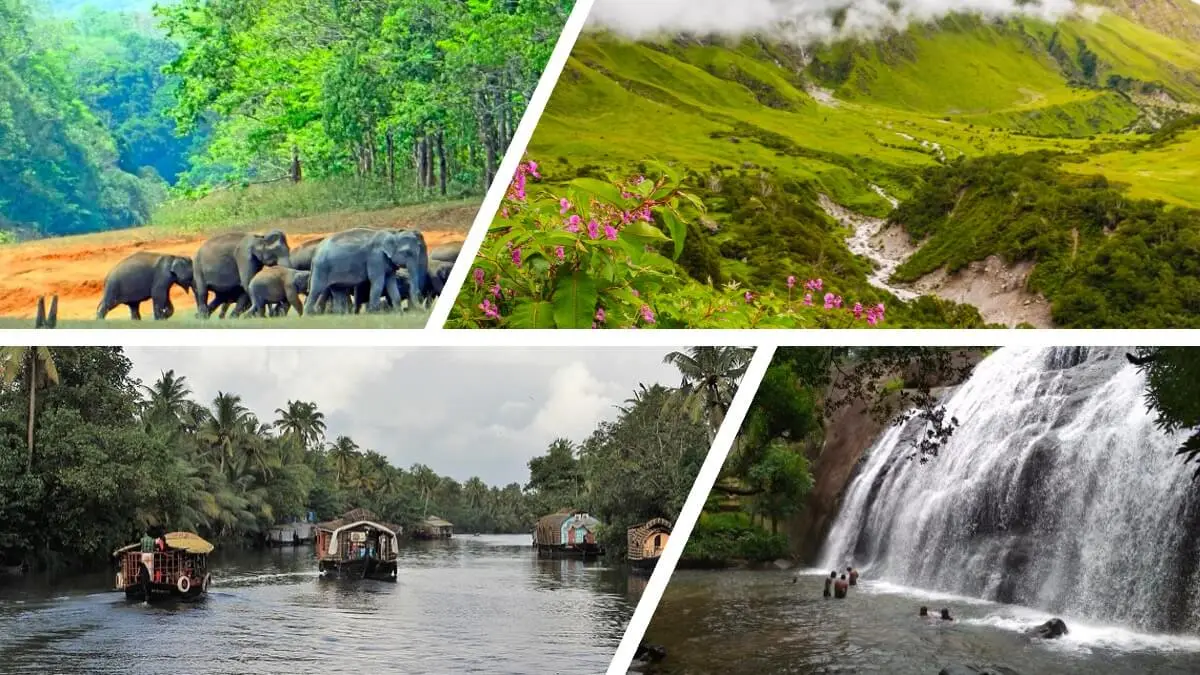 Eco-Tourism in India: Sustainable Travel Ideas for Responsible Tourists 🌱 “Green Getaways: Eco-Tourism Experiences in Incredible India”